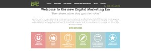 Words by a Pro produces blogs, articles and white papers for Kaufer DMC.